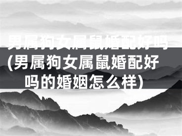 男属狗女属鼠婚配好吗(男属狗女属鼠婚配好吗的婚姻怎么样)