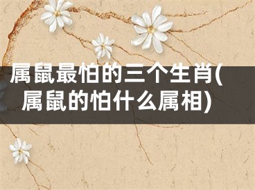 属鼠最怕的三个生肖(属鼠的怕什么属相)