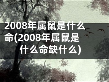 2008年属鼠是什么命(2008年属鼠是什么命缺什么)