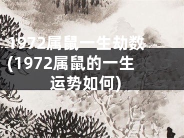 1972属鼠一生劫数(1972属鼠的一生运势如何)