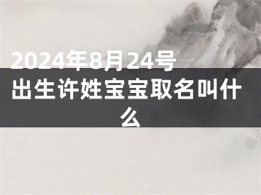 2024年8月24号出生许姓宝宝取名叫什么