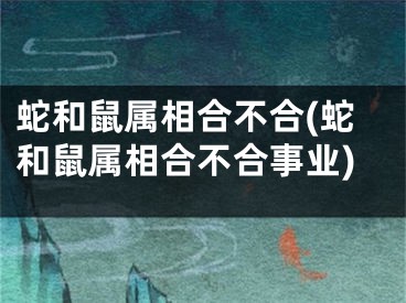 蛇和鼠属相合不合(蛇和鼠属相合不合事业)
