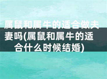 属鼠和属牛的适合做夫妻吗(属鼠和属牛的适合什么时候结婚)