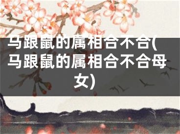 马跟鼠的属相合不合(马跟鼠的属相合不合母女)