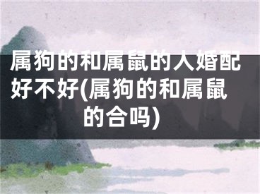 属狗的和属鼠的人婚配好不好(属狗的和属鼠的合吗)
