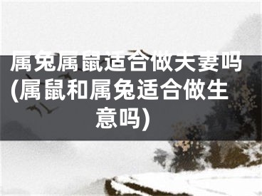 属兔属鼠适合做夫妻吗(属鼠和属兔适合做生意吗)