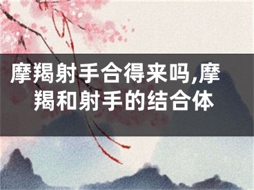 摩羯射手合得来吗,摩羯和射手的结合体