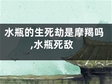 水瓶的生死劫是摩羯吗,水瓶死敌