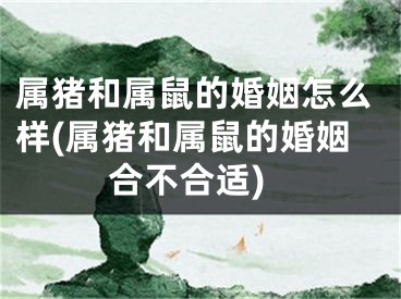属猪和属鼠的婚姻怎么样(属猪和属鼠的婚姻合不合适)