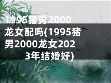 1995猪男2000龙女配吗(1995猪男2000龙女2023年结婚好)